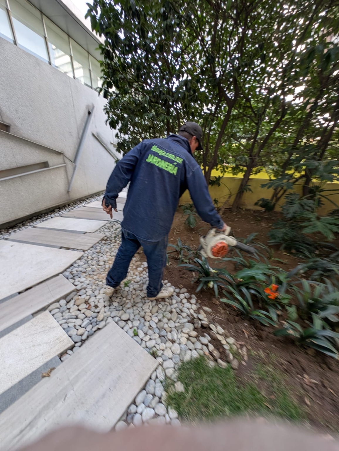 Mantenimiento de jardín junto a edificio