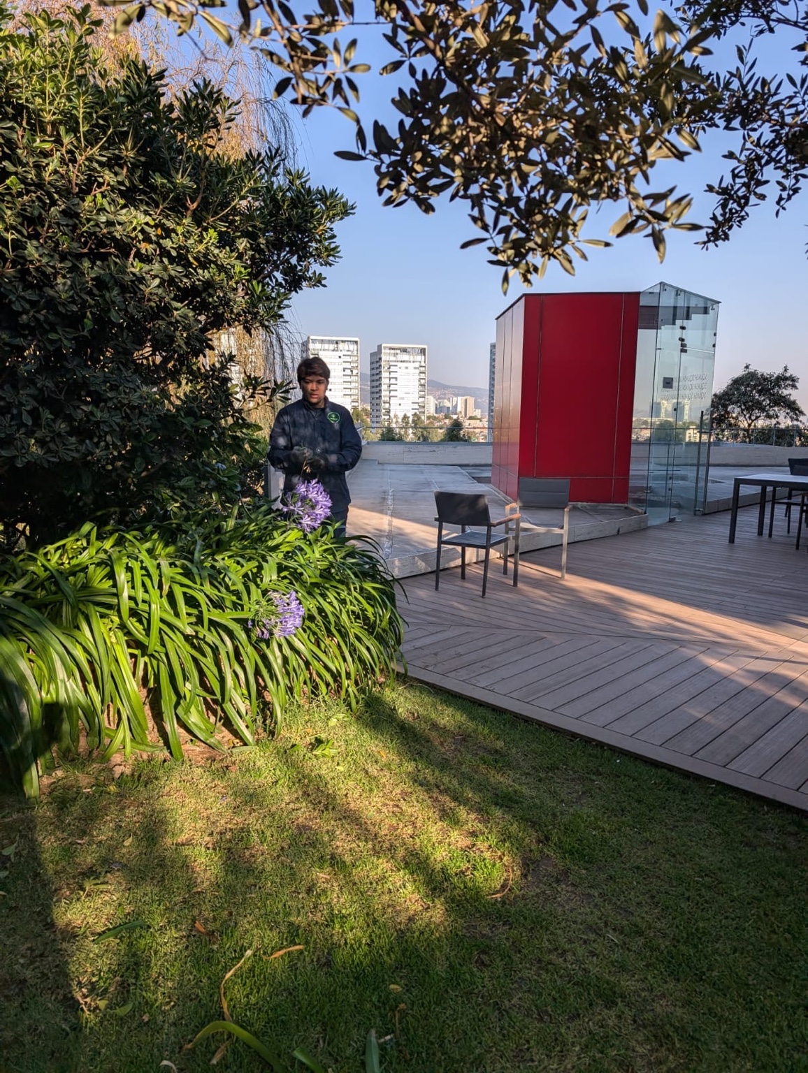 Jardín y terraza con plantas