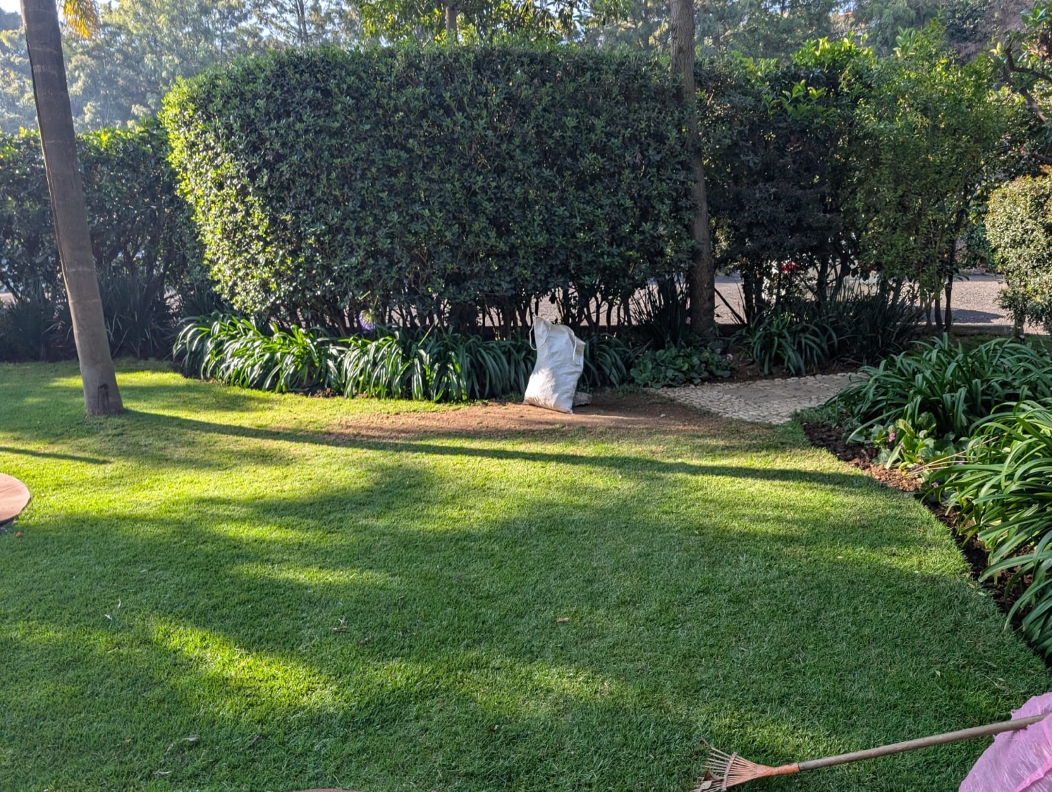 Área verde terminada